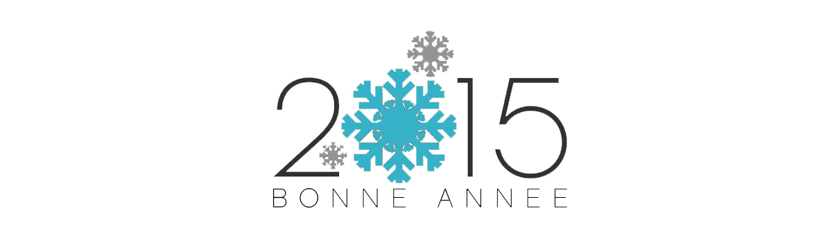 Bonne année 2015 de la part de toute notre équipe!